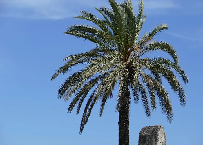 Georgia Old Town Rhodes City